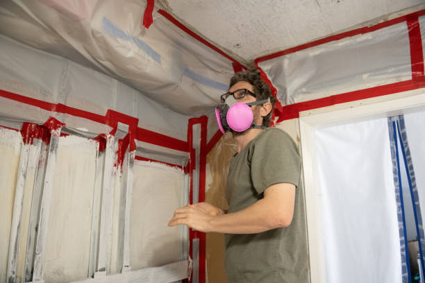 Best Environmental Consulting for Mold Prevention  in Estancia, NM