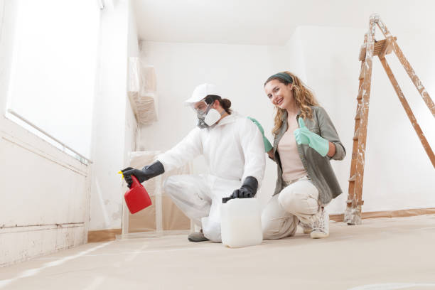 Best Commercial Mold Inspection  in Estancia, NM